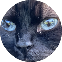 Vee S profile picture