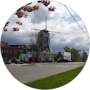 Royal Truck lines profile picture